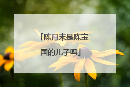 陈月末是陈宝国的儿子吗