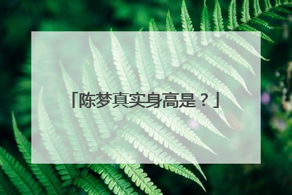 陈梦真实身高是?