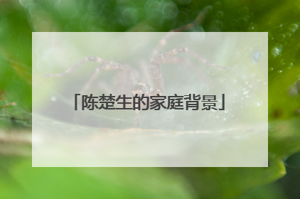 陈楚生的家庭背景