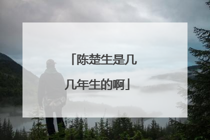 陈楚生是几几年生的啊