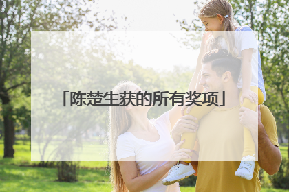 陈楚生获的所有奖项