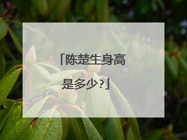 陈楚生身高是多少?