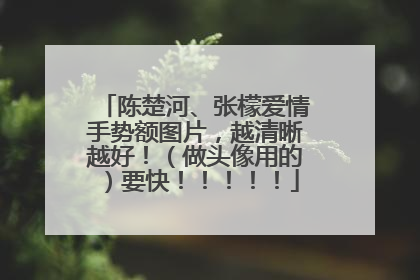陈楚河、张檬爱情手势额图片，越清晰越好！（做头像用的）要快！！！！！