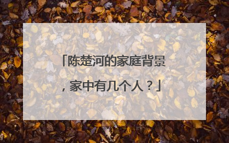 陈楚河的家庭背景,家中有几个人?