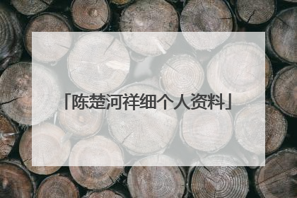 陈楚河祥细个人资料