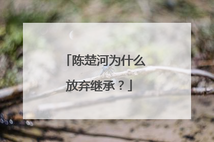 陈楚河为什么放弃继承？