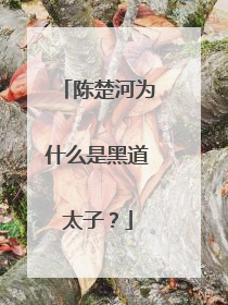 陈楚河为什么是黑道太子？