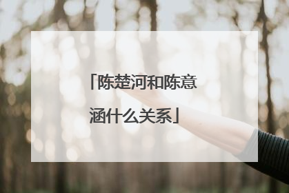 陈楚河和陈意涵什么关系