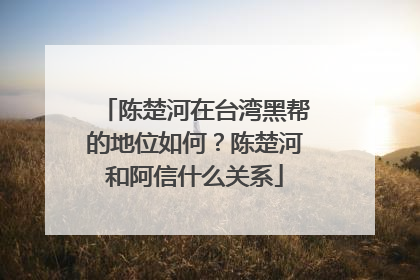 陈楚河在台湾黑帮的地位如何？陈楚河和阿信什么关系