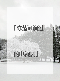 陈楚河演过的电视剧