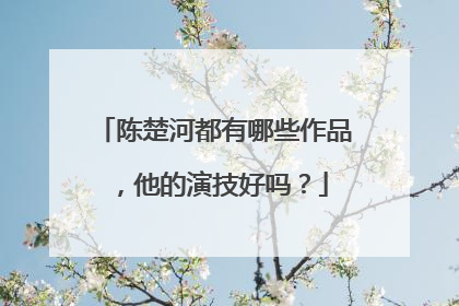 陈楚河都有哪些作品，他的演技好吗？