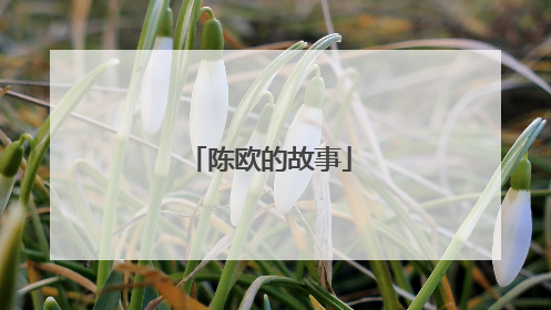 陈欧的故事