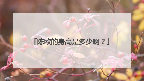 陈欧的身高是多少啊？