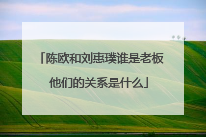 陈欧和刘惠璞谁是老板 他们的关系是什么