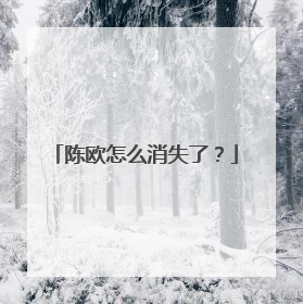 陈欧怎么消失了？