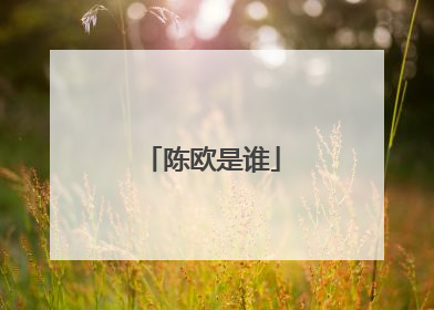 陈欧是谁