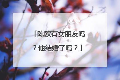 陈欧有女朋友吗？他结婚了吗？