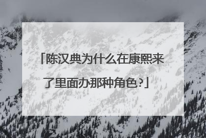 陈汉典为什么在康熙来了里面办那种角色?