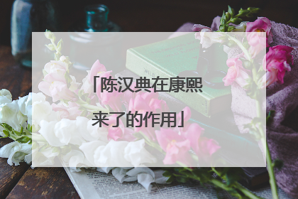 陈汉典在康熙来了的作用