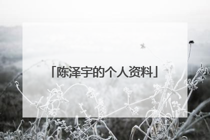 陈泽宇的个人资料