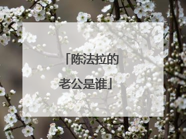 陈法拉的老公是谁