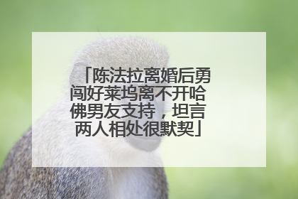 陈法拉离婚后勇闯好莱坞离不开哈佛男友支持,坦言两人相处很默契