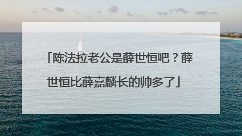 陈法拉老公是薛世恒吧？薛世恒比薛嘉麟长的帅多了