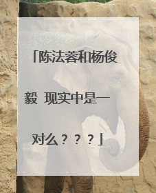 陈法蓉和杨俊毅 现实中是一对么？？？