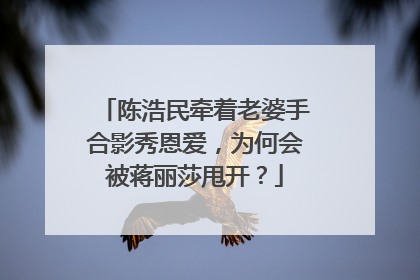 陈浩民牵着老婆手合影秀恩爱，为何会被蒋丽莎甩开？