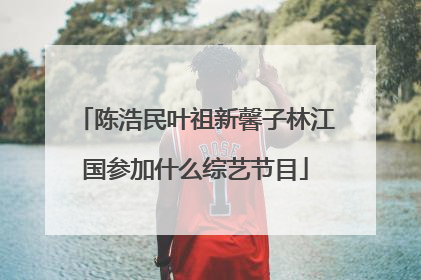 陈浩民叶祖新馨子林江国参加什么综艺节目