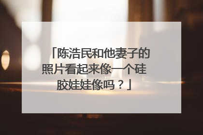 陈浩民和他妻子的照片看起来像一个硅胶娃娃像吗?