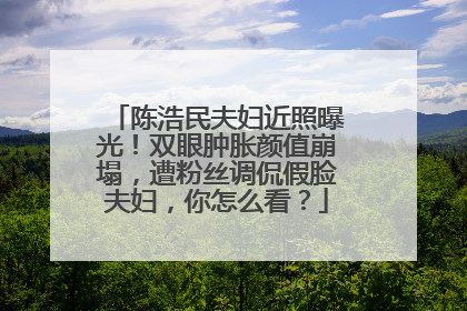 陈浩民夫妇近照曝光！双眼肿胀颜值崩塌，遭粉丝调侃假脸夫妇，你怎么看？