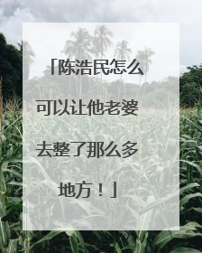 陈浩民怎么可以让他老婆去整了那么多地方！