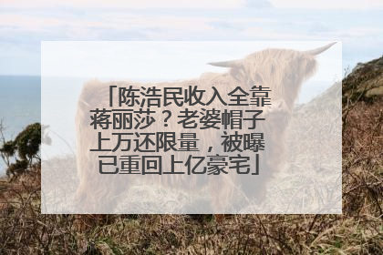 陈浩民收入全靠蒋丽莎？老婆帽子上万还限量，被曝已重回上亿豪宅