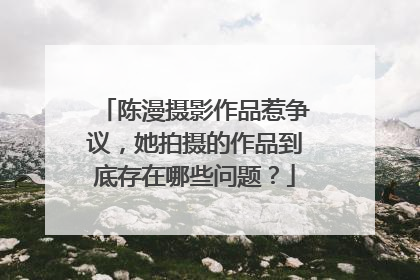 陈漫摄影作品惹争议，她拍摄的作品到底存在哪些问题？