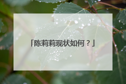 陈莉莉现状如何？