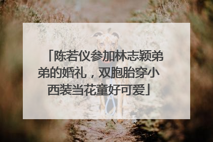 陈若仪参加林志颖弟弟的婚礼，双胞胎穿小西装当花童好可爱