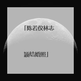 陈若仪林志颖结婚照