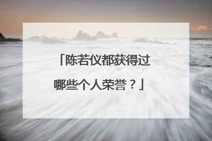 陈若仪都获得过哪些个人荣誉？
