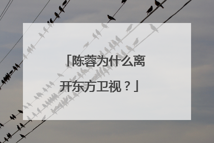 陈蓉为什么离开东方卫视?