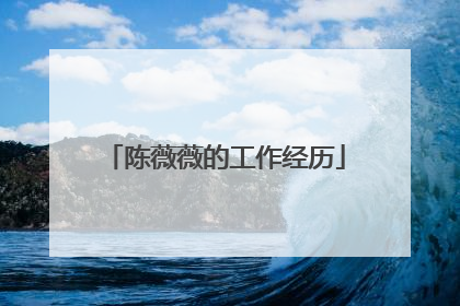 陈薇薇的工作经历