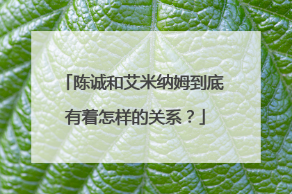 陈诚和艾米纳姆到底有着怎样的关系？