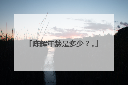 陈辉年龄是多少?,