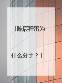 陈辰程雷为什么分手?