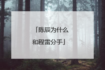 陈辰为什么和程雷分手