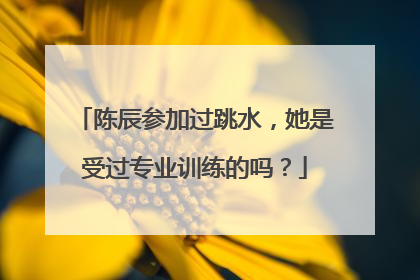 陈辰参加过跳水，她是受过专业训练的吗？
