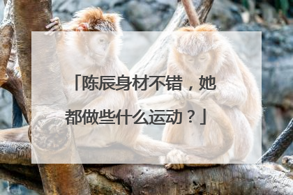 陈辰身材不错,她都做些什么运动?