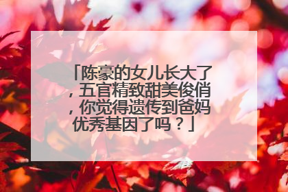 陈豪的女儿长大了，五官精致甜美俊俏，你觉得遗传到爸妈优秀基因了吗？