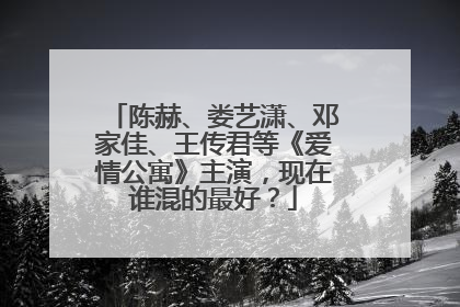 陈赫、娄艺潇、邓家佳、王传君等《爱情公寓》主演，现在谁混的最好？