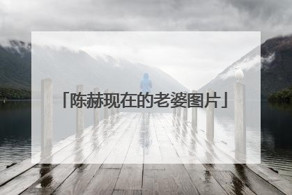 陈赫现在的老婆图片